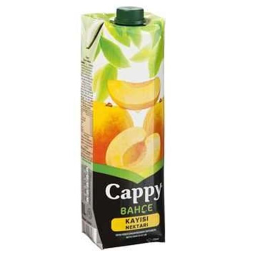 Cappy Kayısı Nektarı 1 Lt